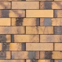 PR_451A1