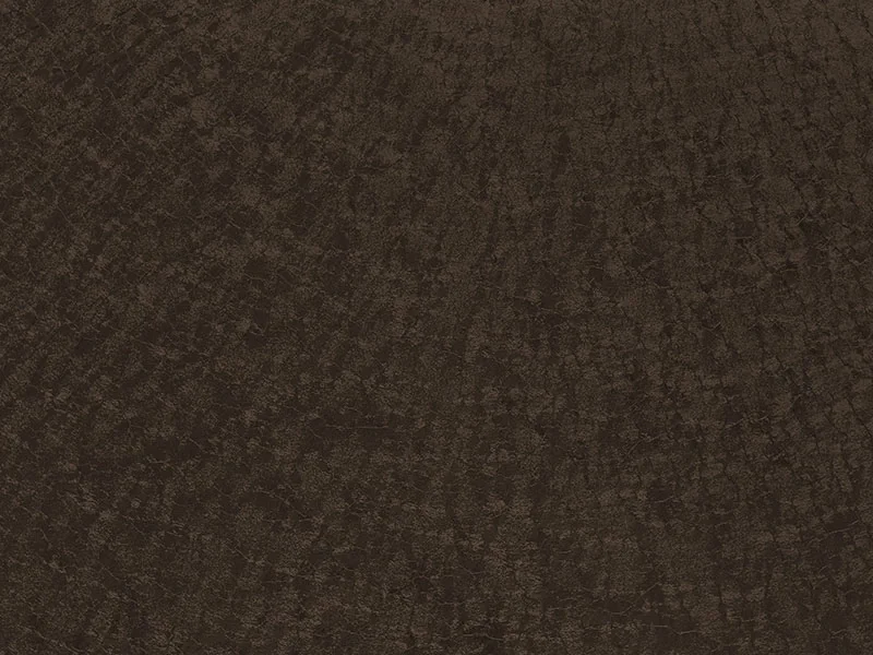 RAL 8019