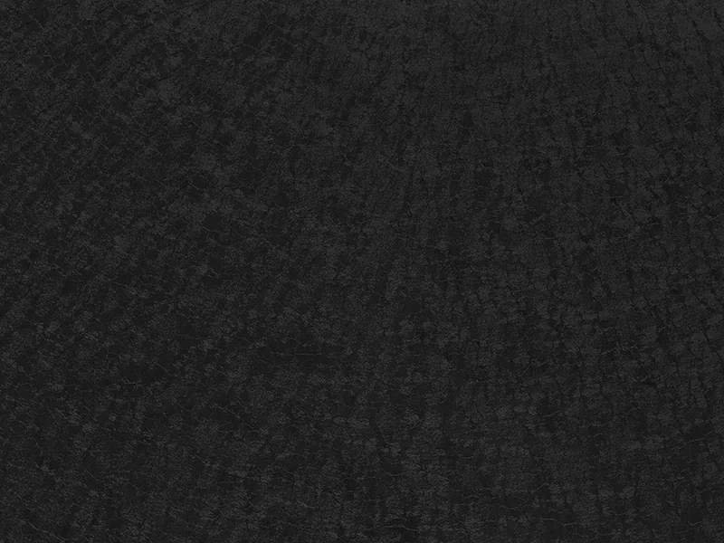 RAL 9005